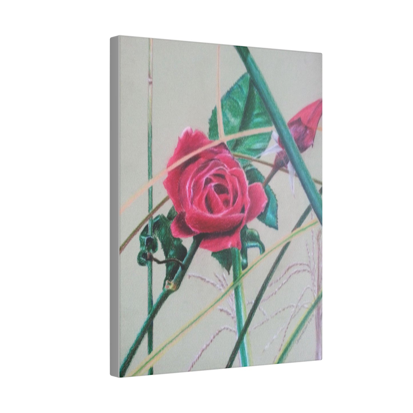 The Rose  Matte Canvas, Stretched, 0.75"