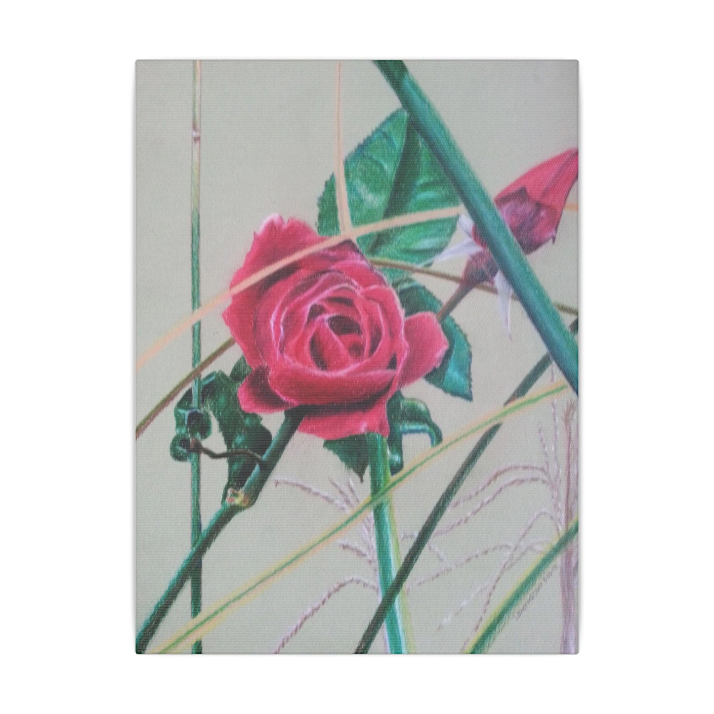 The Rose  Matte Canvas, Stretched, 0.75"