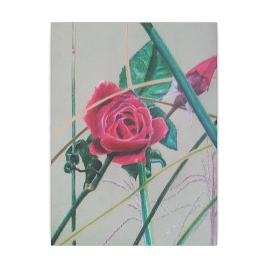 The Rose  Matte Canvas, Stretched, 0.75"